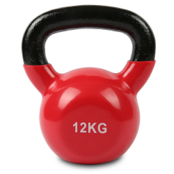 Lifespan Fitness Cast Iron Kettlebell 12kg